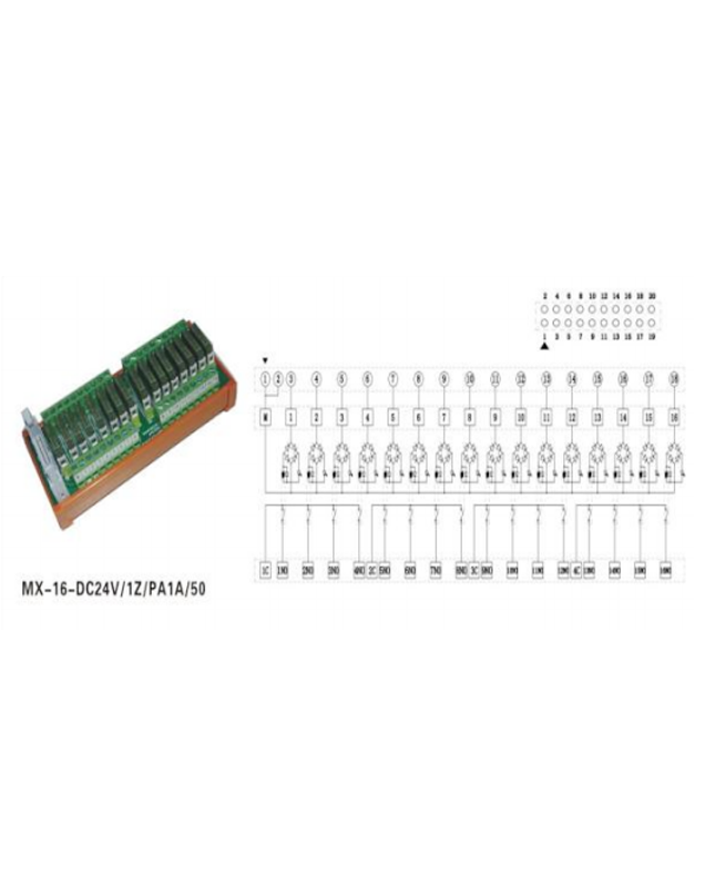 MX-16-DC24V/1Z/PA1A/50